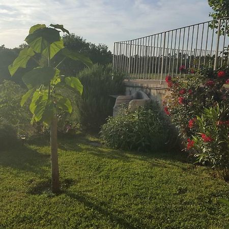 Willa Casa La Pineta Pievescola Zewnętrze zdjęcie