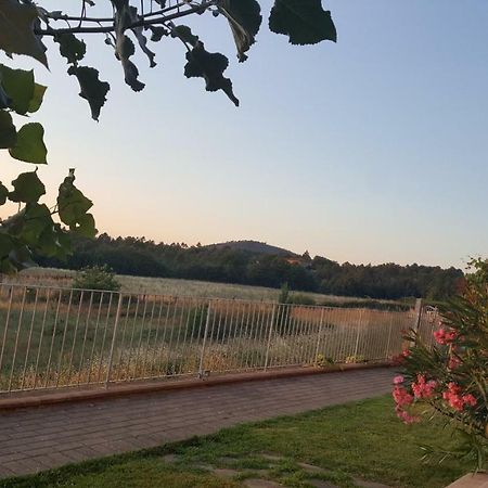 Willa Casa La Pineta Pievescola Zewnętrze zdjęcie
