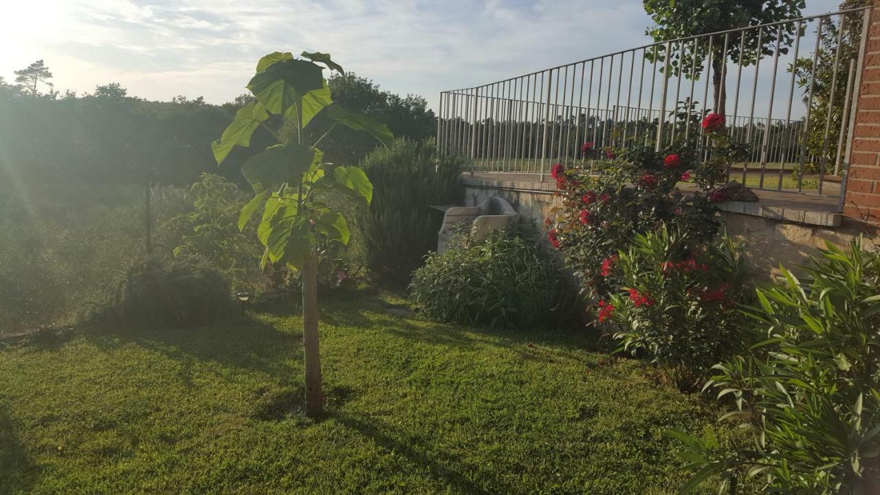 Willa Casa La Pineta Pievescola Zewnętrze zdjęcie